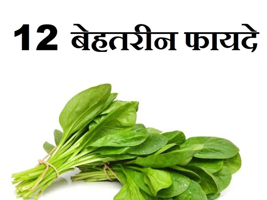 पालक से होने वाले 12 बेहतरीन फायदे,12 Benefits Of Spinach Palak In Hindi,Palak Khane ke fayde, spinach khane ke benefit,spinach side effect