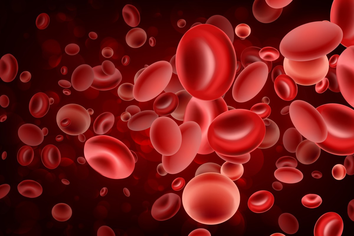 शरीर में रेड ब्लड सेल्स कैसे बढ़ायें, How To Increase Red Blood Cells In Hindi, Red Blood Cells kaise badhaye, body me cells badhane ke tarike