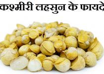कश्मीरी लहसुन के फायदे,Kashmiri Garlic Benefits In Hindi,Kashmiri lahsun ke fayde, Kashmiri lahsun kya hai,Kashmiri lahsun ka upyog or faayde