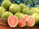 अमरूद खाने के 13 फायदे, Guava Amrud Benefits in Hindi,Amrud khane ke fayde,amrud ke beej ke fayde,Guava Benefits in healthy skin in hindi