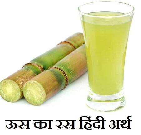 ऊस का रस हिंदी अर्थ, OOS Ka Ras Hindi Meaning,ganne ka fayda,sugarcane meaning in hindi,us ka ras ka arth,गन्ने के रस का फायदा,oos ka fayda